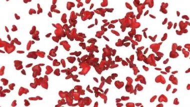 Beyaz arka planda ekranda parlayan üç boyutlu kalplerin patlaması. Alfa kanallı 3B canlandırma