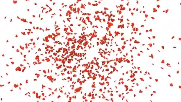 Explosion brillante, cœurs rouges se transformant en tornade et volant à l'écran sur un fond blanc. Animation 3D avec canal alpha