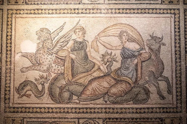 Zeugma Museum Gaziantep Turkey June 2019 Mosaics Zeugma Mosaic Museum — ストック写真