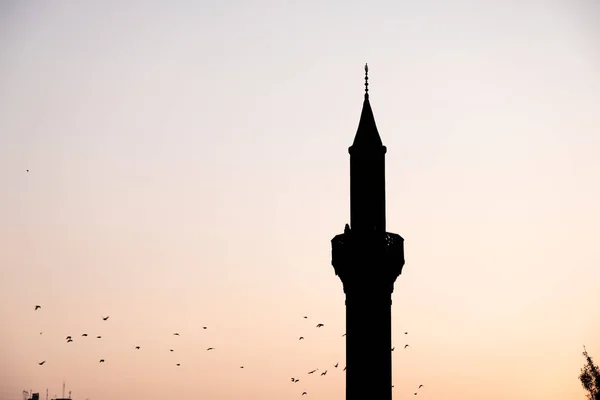 Silhouette Photo Minaret Mosquée Des Oiseaux Volants Coucher Soleil Couleur — Photo