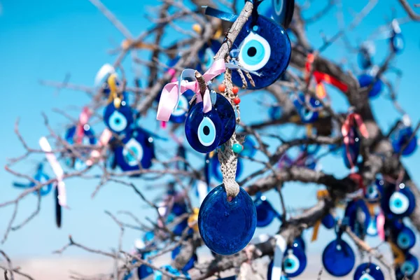 Occhi Maligni Vetro Blu Segno Sull Albero Dei Desideri Turchia — Foto Stock