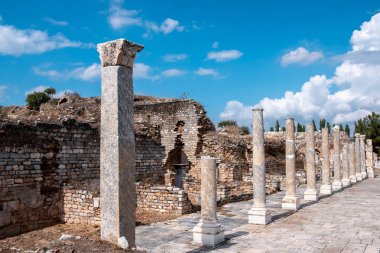 Aphrodisias, Afrodisias bir Afrodit tapınağıdır ve Türkiye 'nin antik kentinin harabelerindedir.