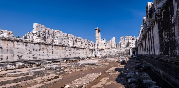 Ruines Temple Apollo Didim Aydin Town Turquie Autre Nom Cet — Photo