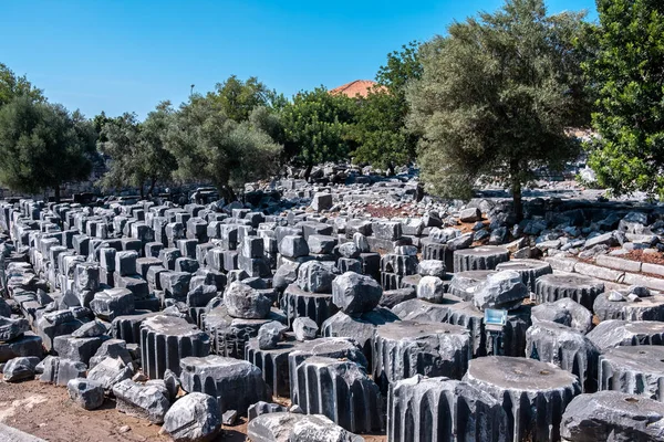 Ερείπια Του Ναού Του Απόλλωνα Στο Ντιντίμ Της Πόλης Αϊντίν — Φωτογραφία Αρχείου