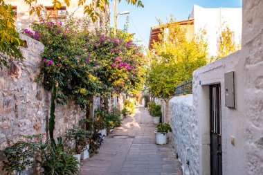 Şehir merkezi, Bodrum / Türkiye - Eylül 2019: White Street Bodrum Town 'un Ege tarzı caddesi