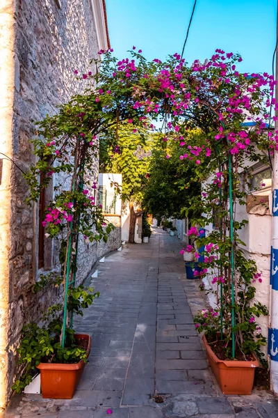 Şehir merkezi, Bodrum / Türkiye - Eylül 2019: White Street Bodrum Town 'un Ege tarzı caddesi