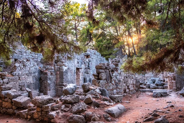 Phaselis, Antalya, Türkiye 'deki Phaselis Antik Şehir Tiyatrosu Harabeleri