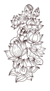 Daire el çizilmiş Lotus çiçek, boyama kitabı ve çiçek buket tasarım için vektör.