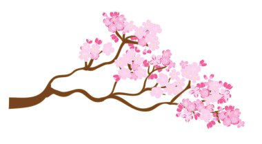 Ücretsiz el Sakura çiçek vektör seti, Güzel çizgi sanat Şeftali çiçeği 