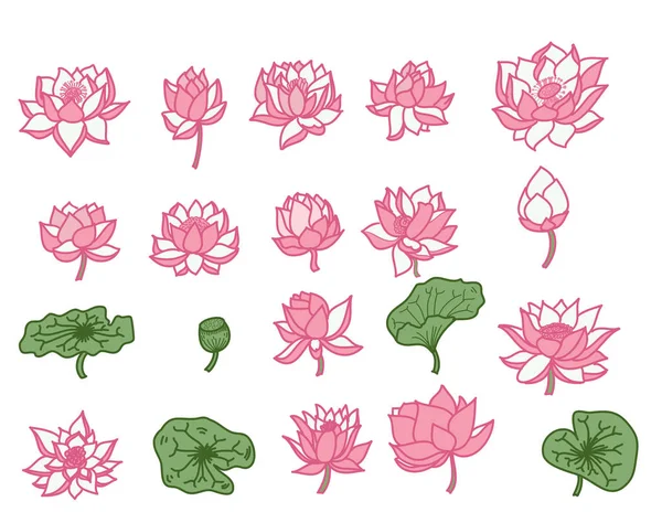 Hand Getrokken Lotus Bloem Isoleren Vector Set Kleurovergang Pastel — Stockvector