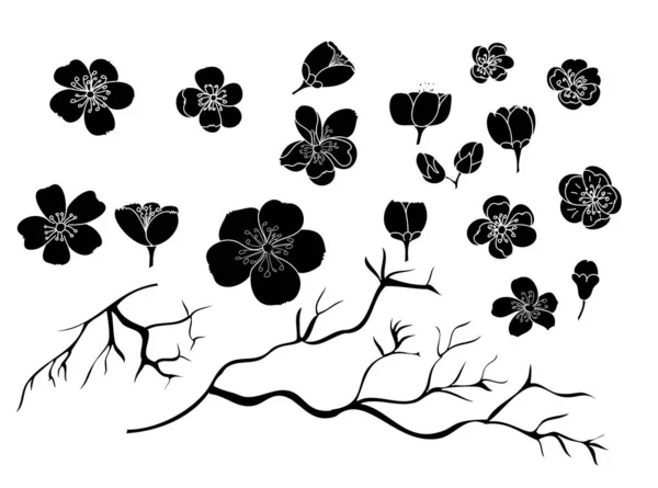 Juego Vectores Flores Sakura Mano Libre Hermosa Línea Arte Flor — Vector de stock