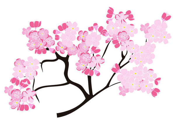 Free hand Sakura flower vector set, Beautiful line art Peach blossom 