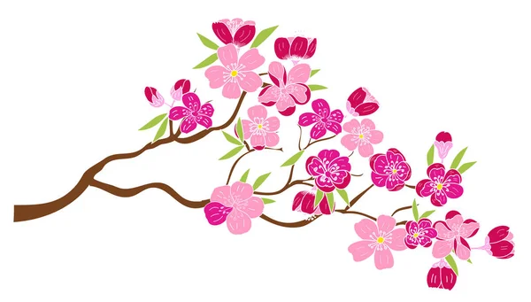 Juego Vectores Flores Sakura Mano Libre Hermosa Línea Arte Flor — Vector de stock