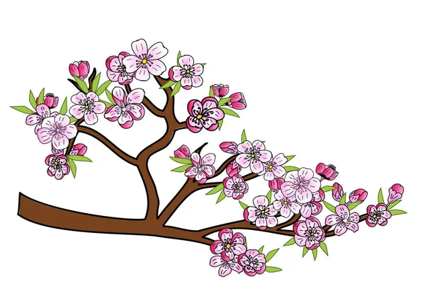 Vrije Hand Sakura Bloem Vector Set Mooie Lijn Kunst Perzik — Stockvector