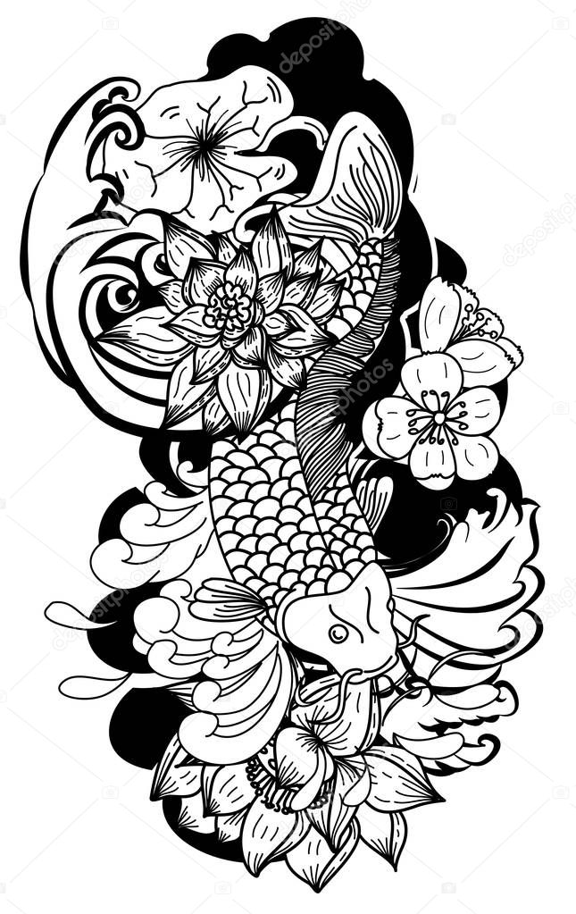 Koi Carp Japanese tattoo style.koi fish for sticker and printing on white background.