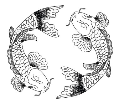 Çin 'in yeni yılının bereketi için beyaz arka planda el çizimi Koi sazan balığı. Arka planda festival için altın balık. Güzel bir koi balığı koleksiyonu..