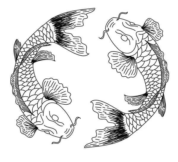 Çin 'in yeni yılının bereketi için beyaz arka planda el çizimi Koi sazan balığı. Arka planda festival için altın balık. Güzel bir koi balığı koleksiyonu..
