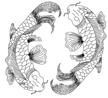Çin 'in yeni yılının bereketi için beyaz arka planda el çizimi Koi sazan balığı. Arka planda festival için altın balık. Güzel bir koi balığı koleksiyonu..