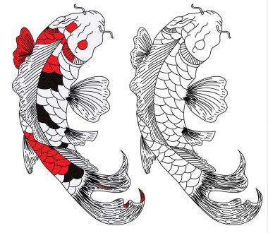 Çin 'in yeni yılının bereketi için beyaz arka planda el çizimi Koi sazan balığı. Arka planda festival için altın balık. Güzel bir koi balığı koleksiyonu..