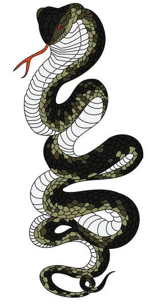 Serpente Colorida Para Impressão Adesivos Fundo Vetor Cobra King Para —  Vetores de Stock