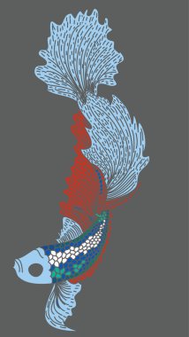 Renkli Betta balık vektörü. Güzel dövüşen balık. El, savaşan Siyam balığı çiziyor.