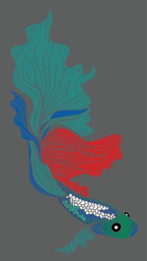 Renkli Betta balık vektörü. Güzel dövüşen balık. El, savaşan Siyam balığı çiziyor.