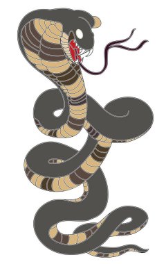 Japon yılan kobrası beyaz arkaplanda siyah beyaz izole edilmiş..