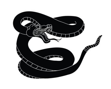 Japon yılan kobrası beyaz arkaplanda siyah beyaz izole edilmiş..