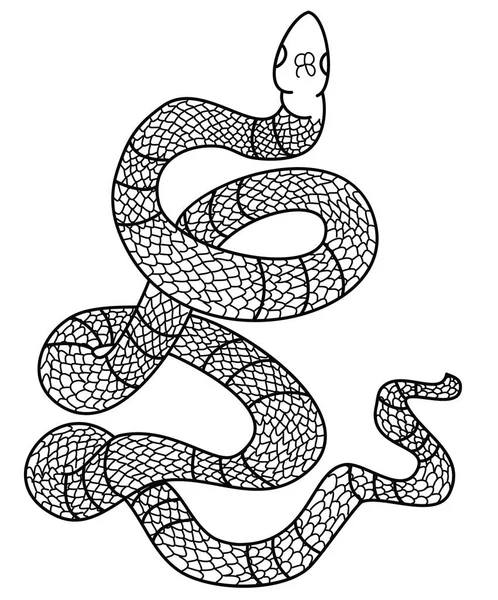 Vetor Serpente Desenhado Mão Ilustração Isolada Fundo Branco Vetor Serpente — Vetor de Stock