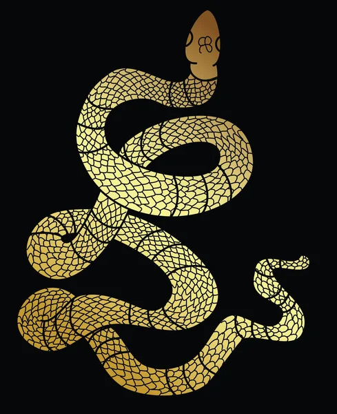 Vector Serpiente Dibujado Mano Ilustración Aislar Sobre Fondo Blanco — Vector de stock