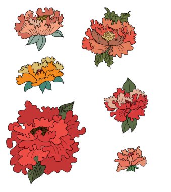 Beyaz arka planda renkli şakayık çiçekleri. Vektör illüstrasyonu. Arka planda dövme için Lotus çiçek vektörü.