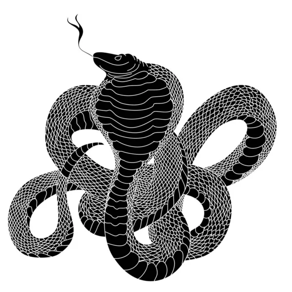 Esquema Del Vector Serpiente Aislamiento Cobra Dibujado Mano Blanco — Archivo Imágenes Vectoriales