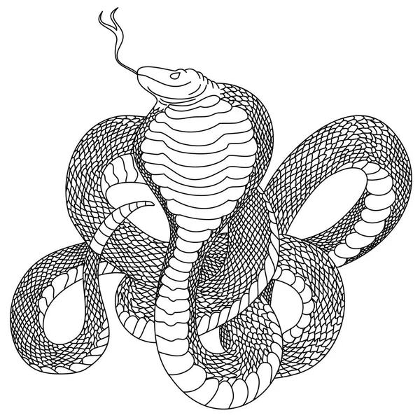 Schema Del Vettore Serpente Isolato Cobra Disegnato Mano Bianco — Vettoriale Stock