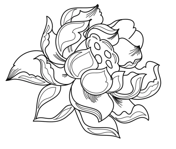 Lotus Vector Voor Tattoo Design Vector Illustratie Voor Doodle Kunst — Stockvector