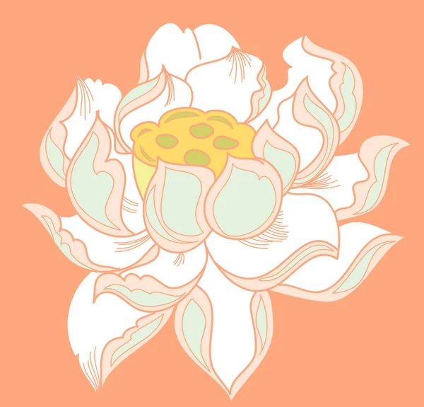 Lotus Vector Voor Tattoo Design Vector Illustratie Voor Doodle Kunst — Stockvector