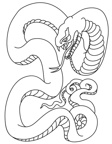 Esquema Del Vector Serpiente Aislamiento Cobra Dibujado Mano Sobre Fondo — Archivo Imágenes Vectoriales