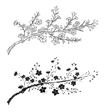 Serbest el Sakura çiçek vektörü seti, Güzel çizgi sanatı Şeftali çiçekleri beyaz arkaplanda izole edildi. Kiraz çiçeği illüstrasyon seti. Kartları birleştirmek ya da arkaplanda yazdırmak için unsur.. 