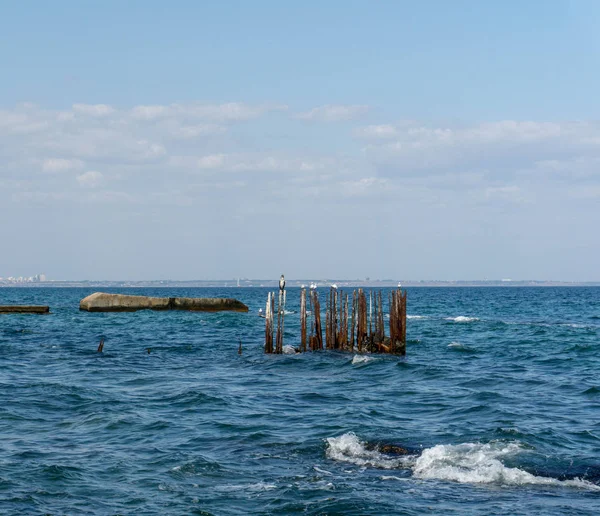 Sea Wiev Προβλήτα Γλάροι Και Κορμοράντ — Φωτογραφία Αρχείου