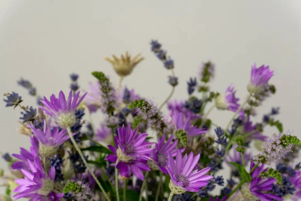 Bouquet of purple wildflowers with lavander and mint close-up on a grey background