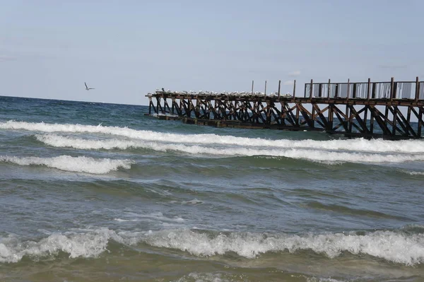 Black Sea Coast Bulgaria — Stock Photo, Image