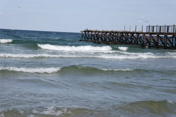 Black Sea Coast Bulgaria — Stock Photo, Image