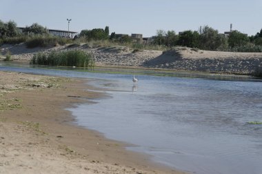 Martılar ırmak, İçecek su