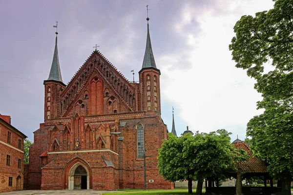 Catedral Gótica Século Xiv Frombork Aqui Nicolau Copérnico Foi Enterrado — Fotografia de Stock