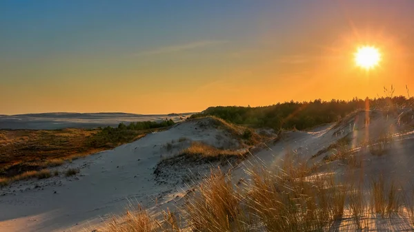 Sowiski National Park Located Central Part Polish Coast — Stock Photo, Image