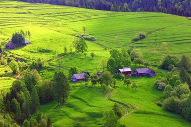 Pieniny - bir dağ içinde Polonya'nın Güney Karpatlar