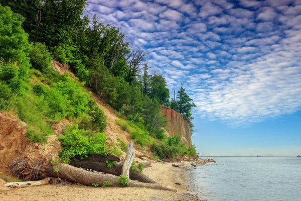 Penhasco Orowo Costa Mar Íngreme Kpa Redowska Gdynia — Fotografia de Stock