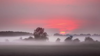 Sonbahar Narwia Nehri'nde Polonya Podlasie'deki/daki oteller