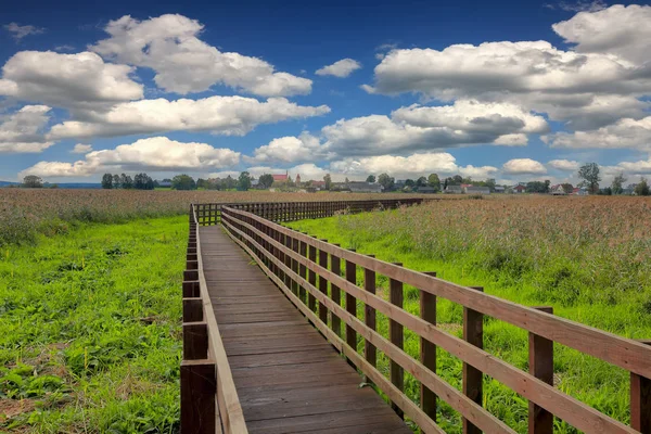 Narew National Park Podlasie Poland — Stock Photo, Image