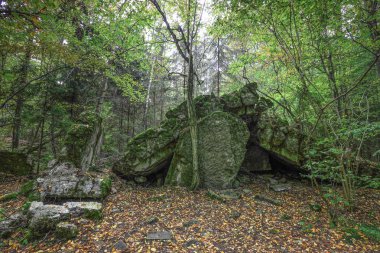 Polonya, Ktrzyn district, Wilczy Szaniec Dünya Savaşı sırasında Adolf Hitler'in Doğu Cephesi askeri karargahı oldu