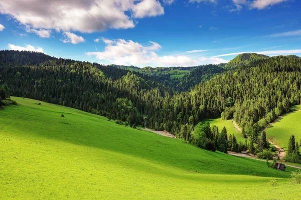 Wiosna Górach Pieniny Małopolskim — Zdjęcie stockowe